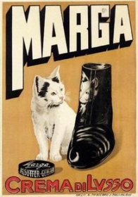 marga-cat-shoe.jpg