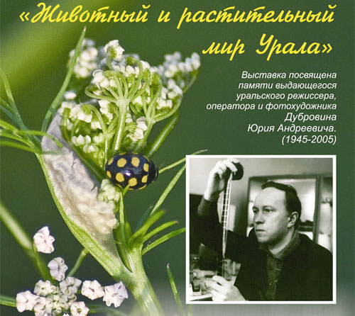 выставка "Животный и растительный мир Урала"