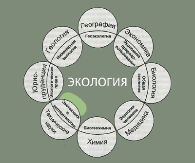 Чем связана география с экологией Экология Википедия