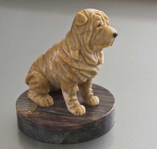 �����_���������.�Solo�_�_�����