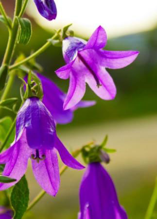 ������������ ���������� ������ ��������� ����������