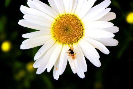 ������������ ���������� ������ ��������� ����������