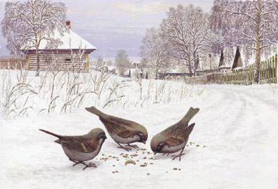 �������