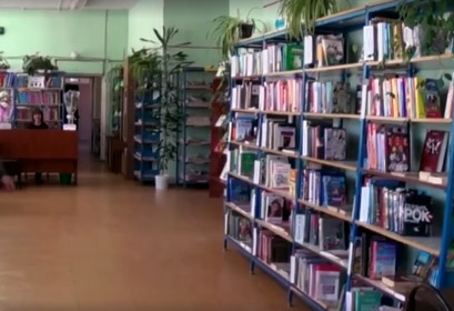 Библиотека пос. Малышева