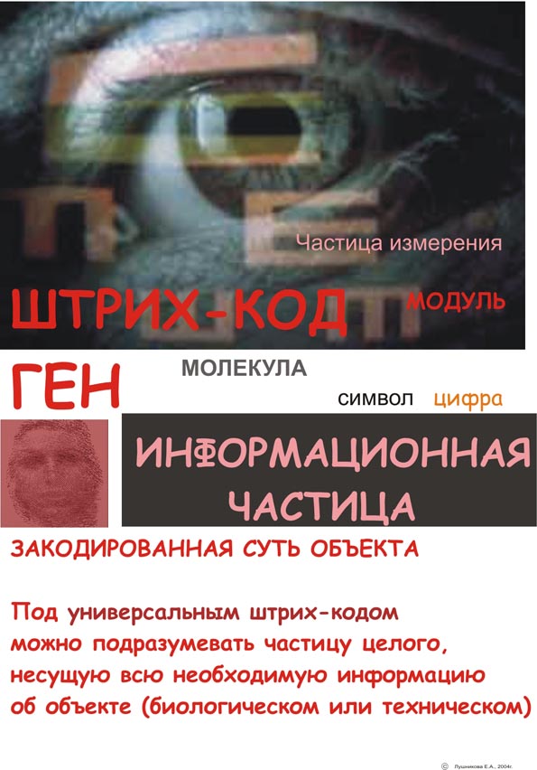 Рис.1