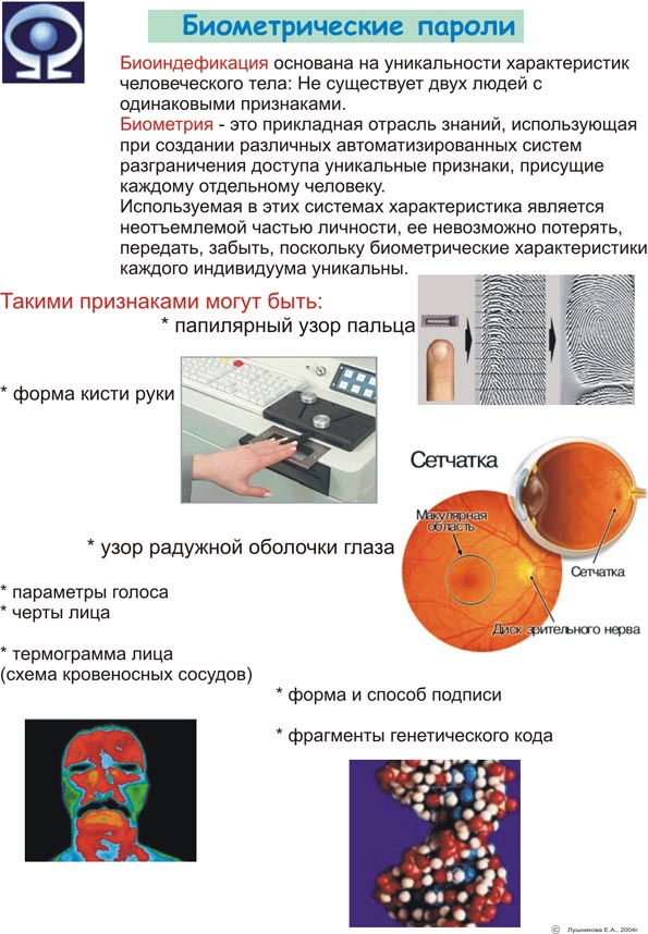 Рис.7
