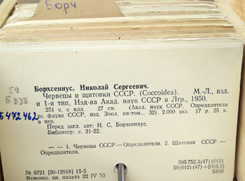 алфавитный каталог